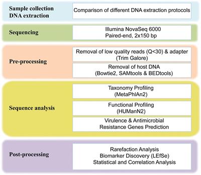 Whole-Genome Metagenomic Analysis of the Gut Microbiome in HIV-1-Infected Individuals on Antiretroviral Therapy